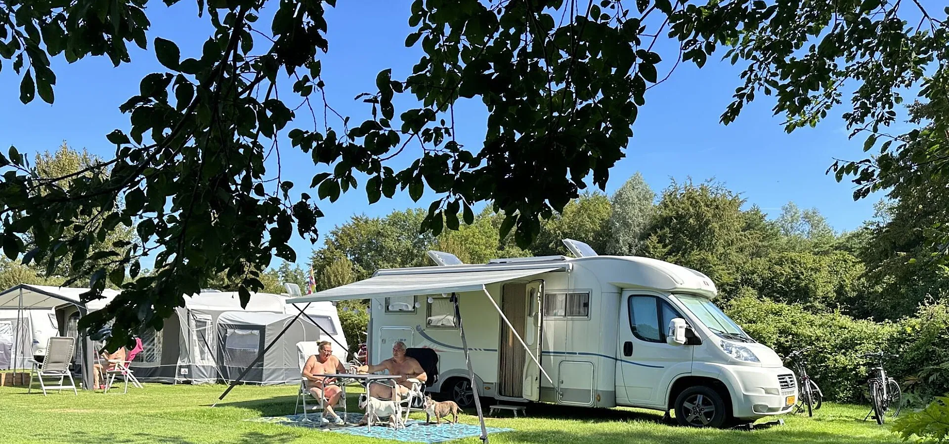 Naturist camping with dog