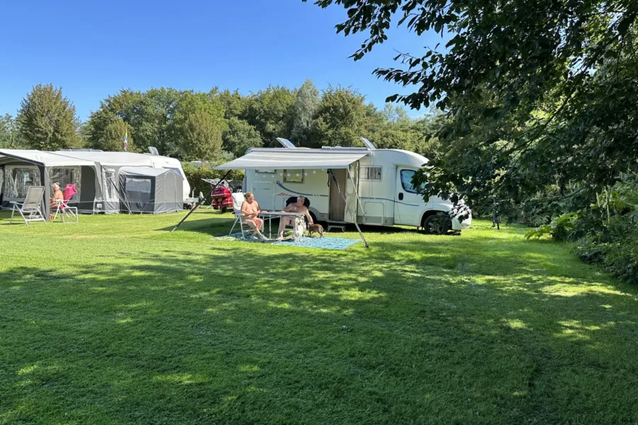 Naturist camping with dog