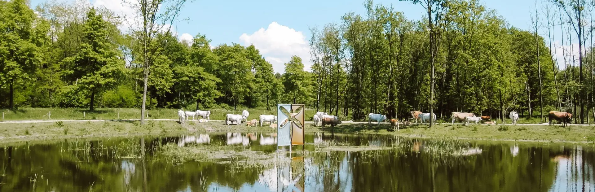 Surroundings Naturist Camping Flevo Natuur Netherlands 1