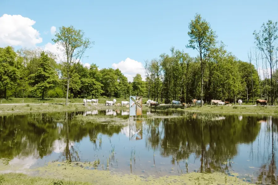 Surroundings Naturist Camping Flevo Natuur Netherlands 1