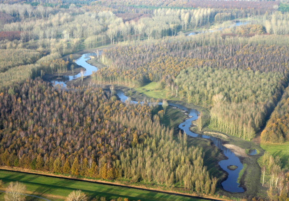 Surroundings Naturist Camping Flevo Natuur Netherlands 13