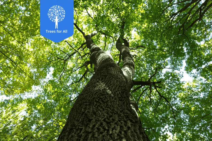 Website Photos 2400x1600